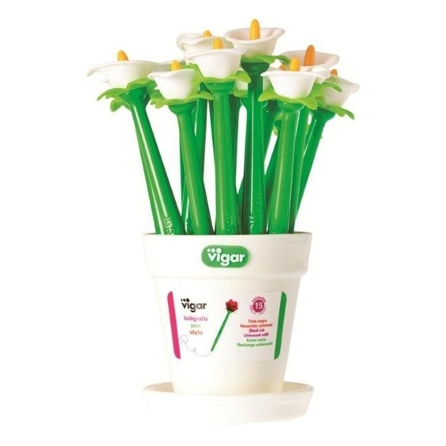 Pot de 15 Stylos Arum